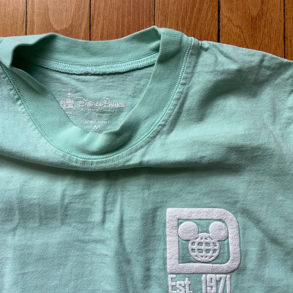 Disney Mint Spirit Jersey